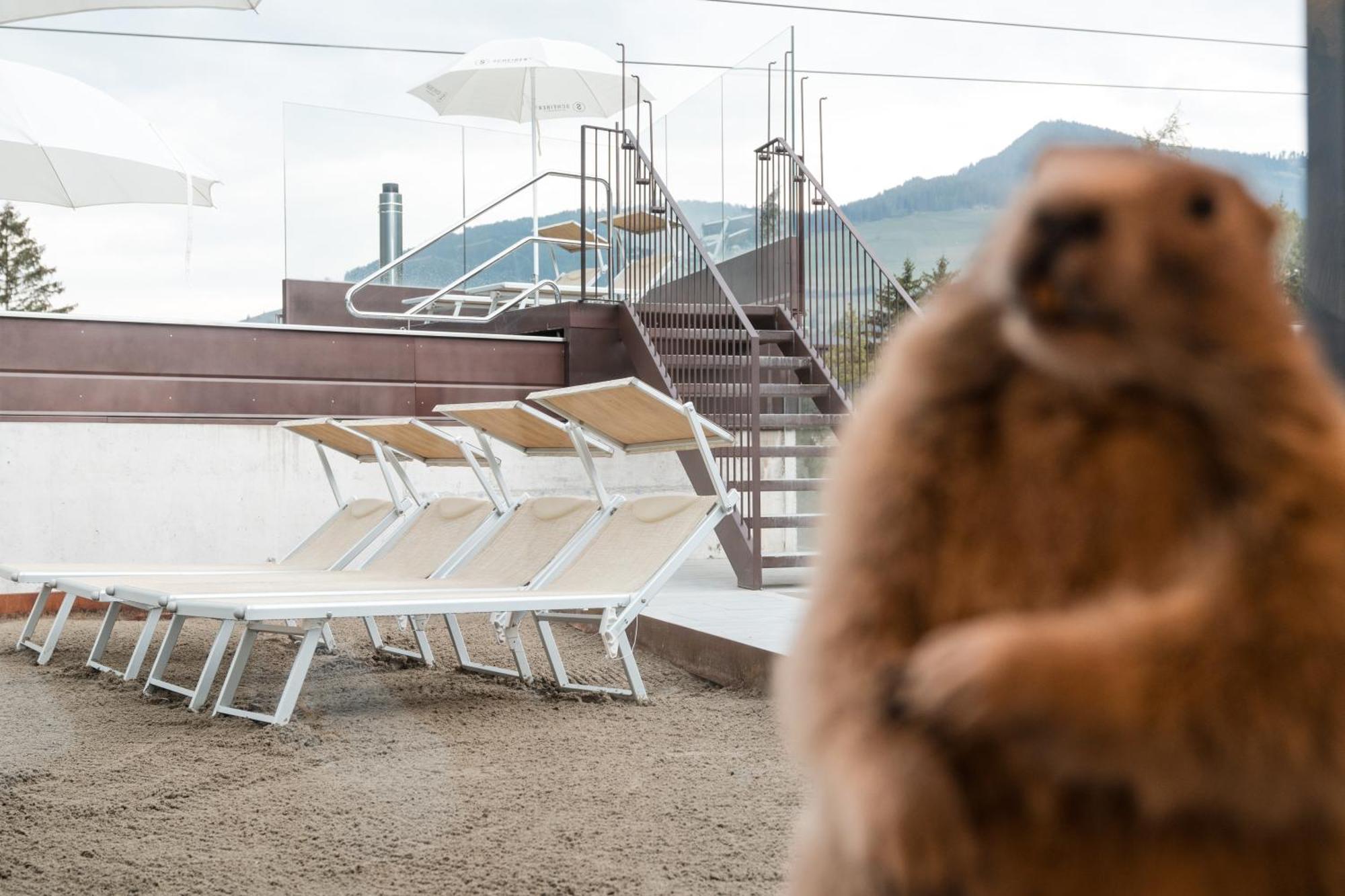 Al Plan, A Mountain Moving Hotel Сан Вигилио ди Маребе Екстериор снимка